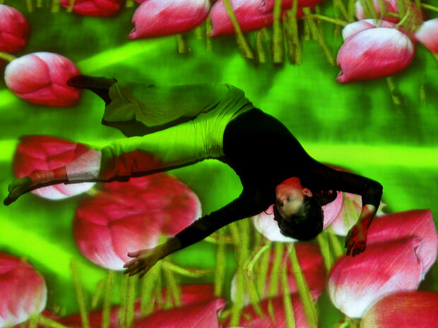 Il giardino giapponese